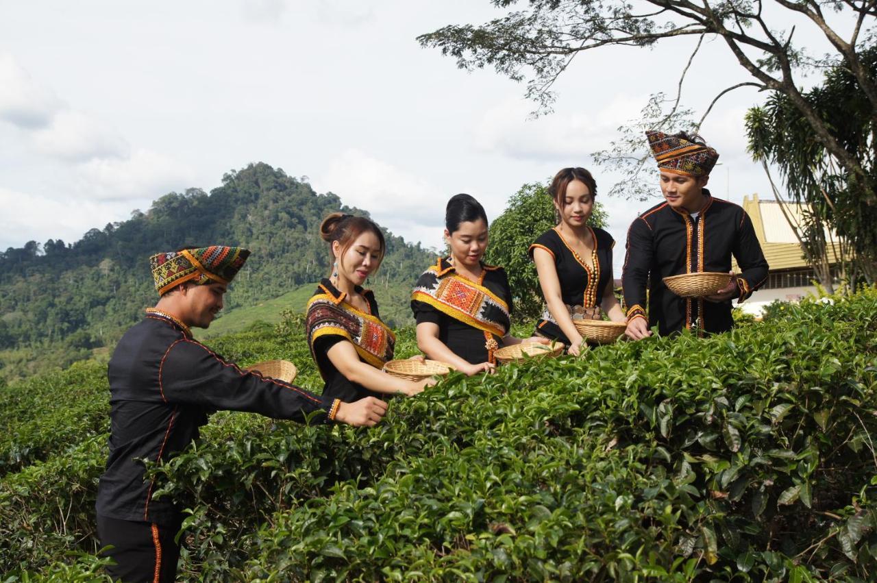 Sabah Tea Resort Ranau Exterior photo