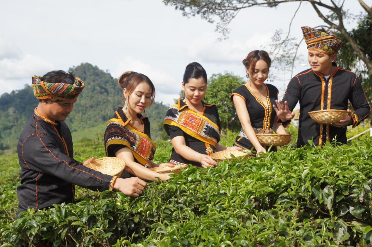 Sabah Tea Resort Ranau Exterior photo
